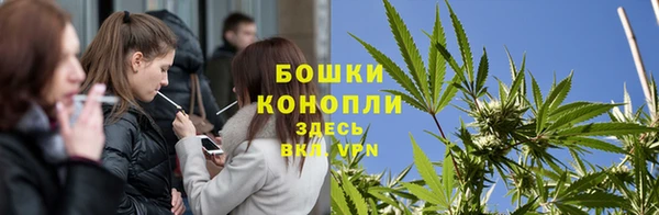 сатива Белокуриха