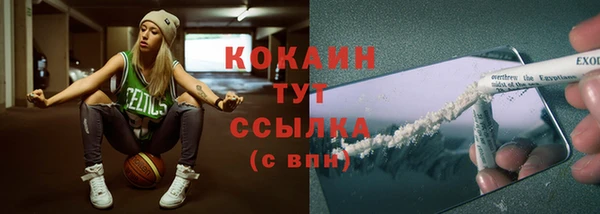 сатива Белокуриха