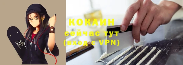 сатива Белокуриха