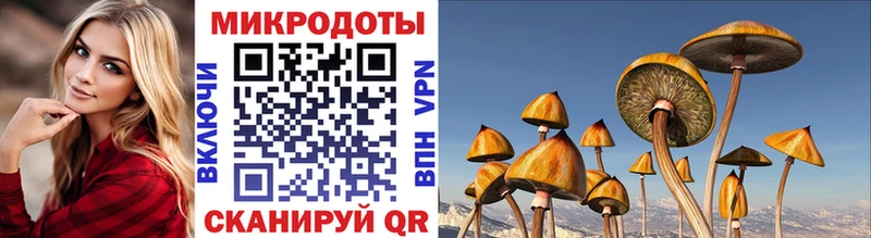 Галлюциногенные грибы GOLDEN TEACHER  Калининец 